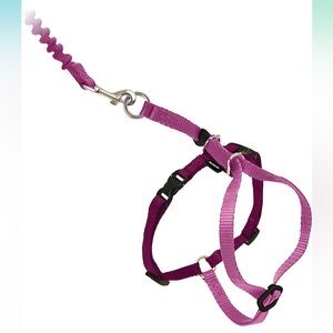 [PetSafe] Cat Harness and Bungee Leash, Medium, Dusty Rose/Burgundy